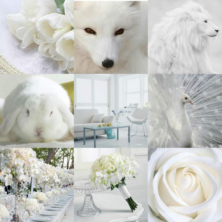 Мелкие белые цветы