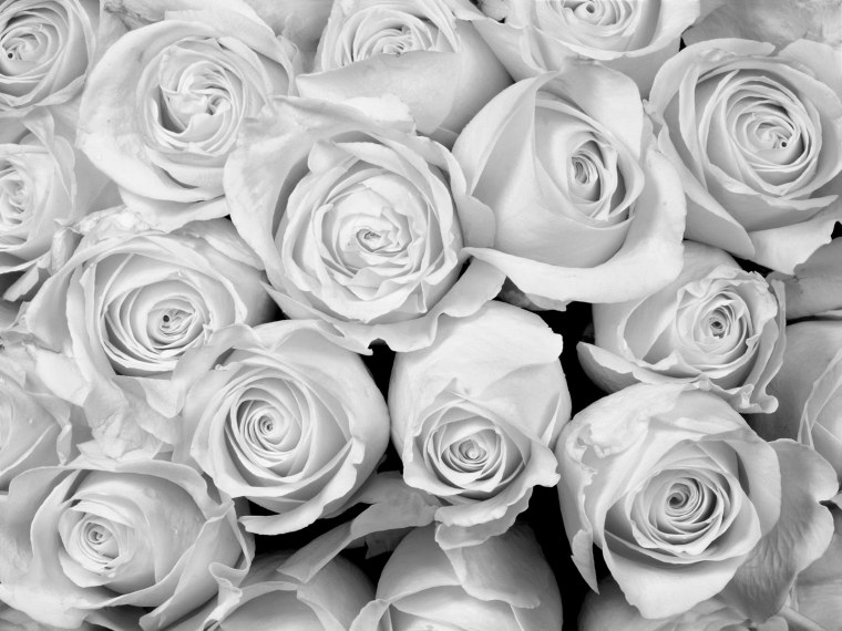 Красивый белый цвет