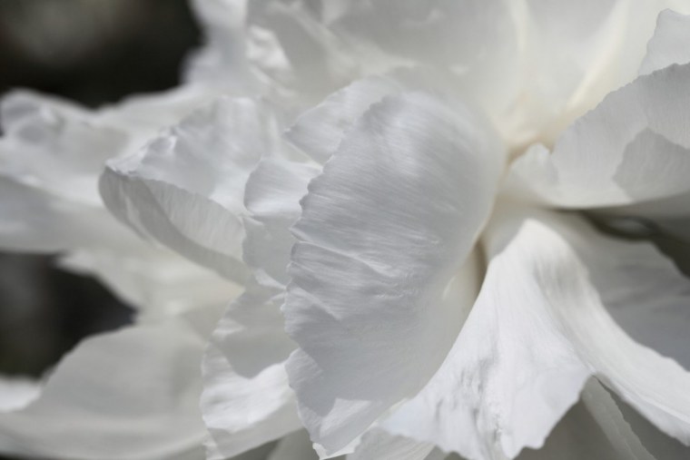 Bed Linen постельное белье