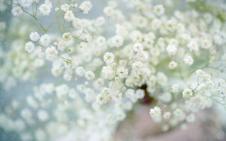 Эстететика белого цвета