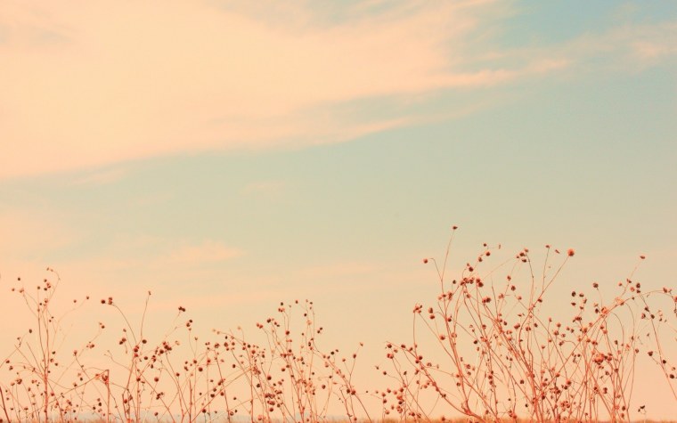 Розовое облако