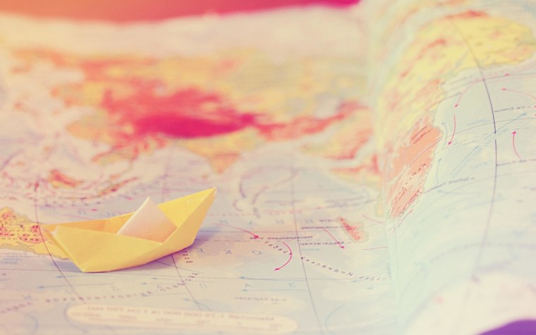 Синие и розовые цветы