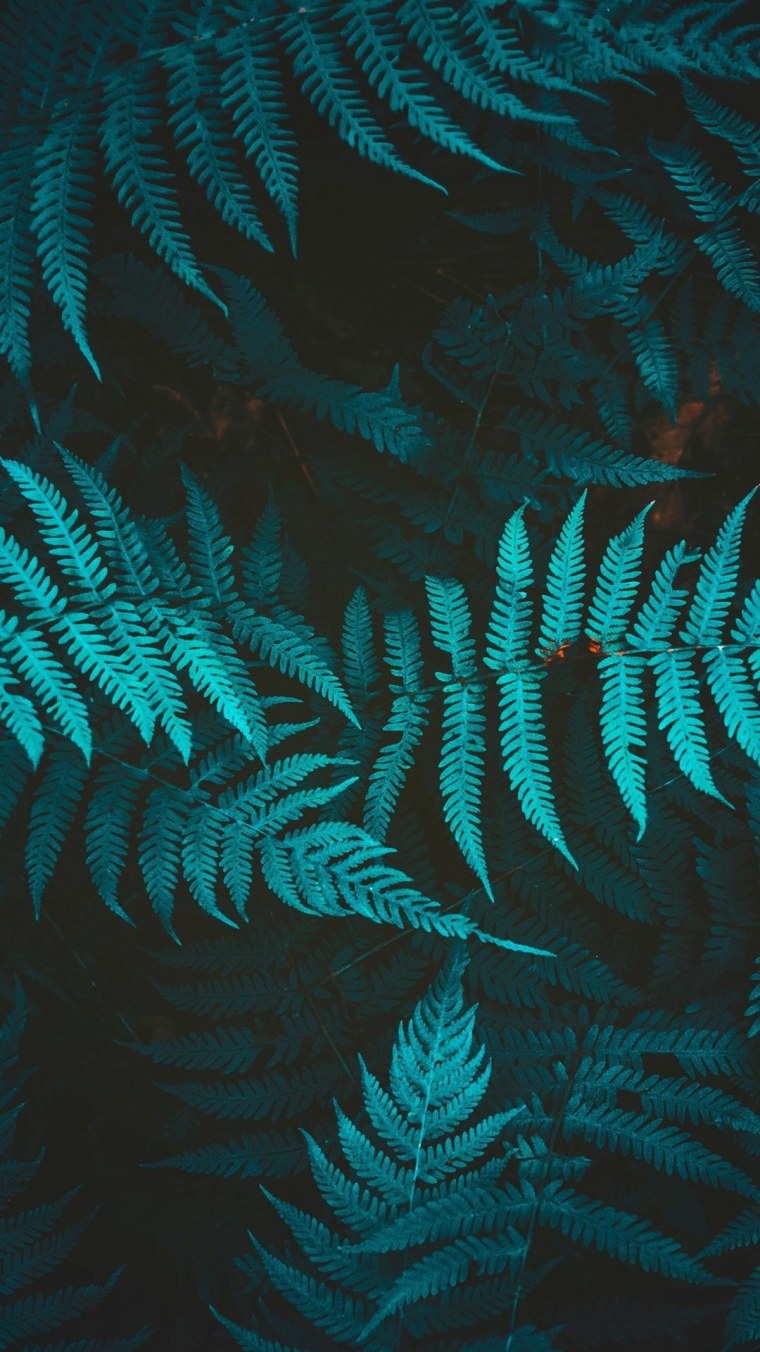 Эстетика голубой природа