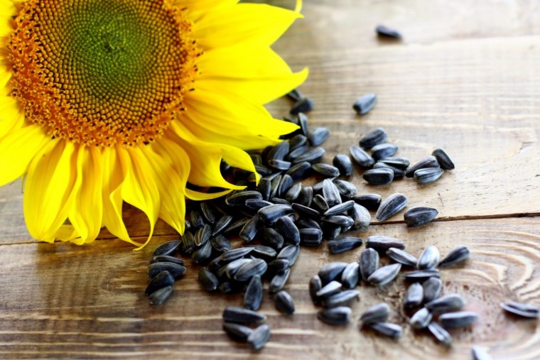 Семечки подсолнуха