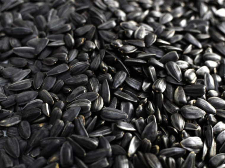 Подсолнечные семечки