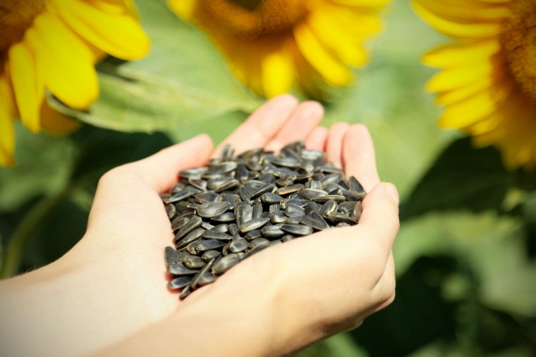Семечки подсолнуха польза