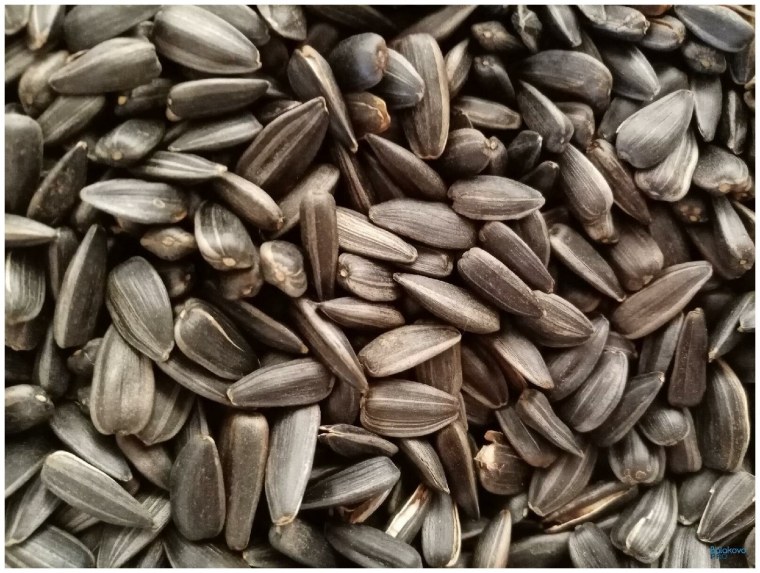 Семена подсолнечника нежареные