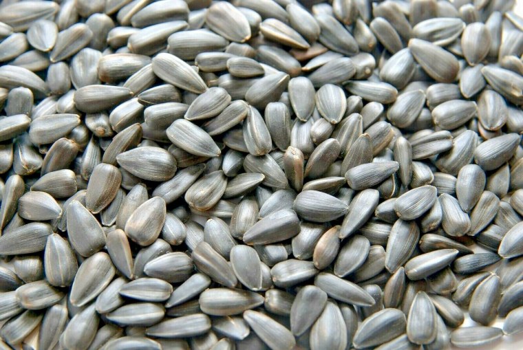 Семена подсолнуха пузанок