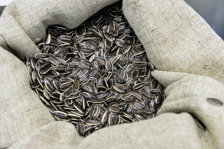 Ядро подсолнечника