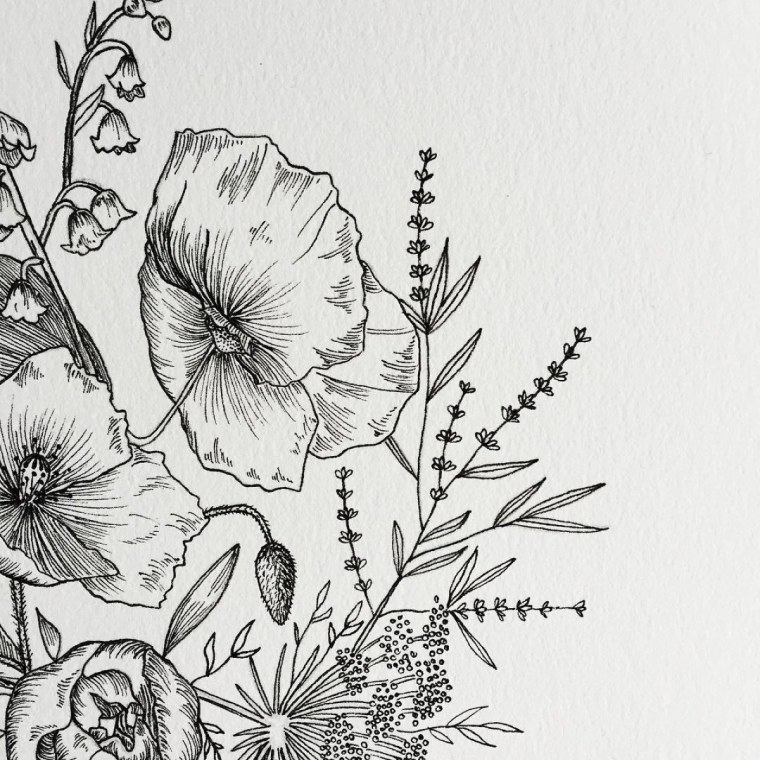 Цветы Графика