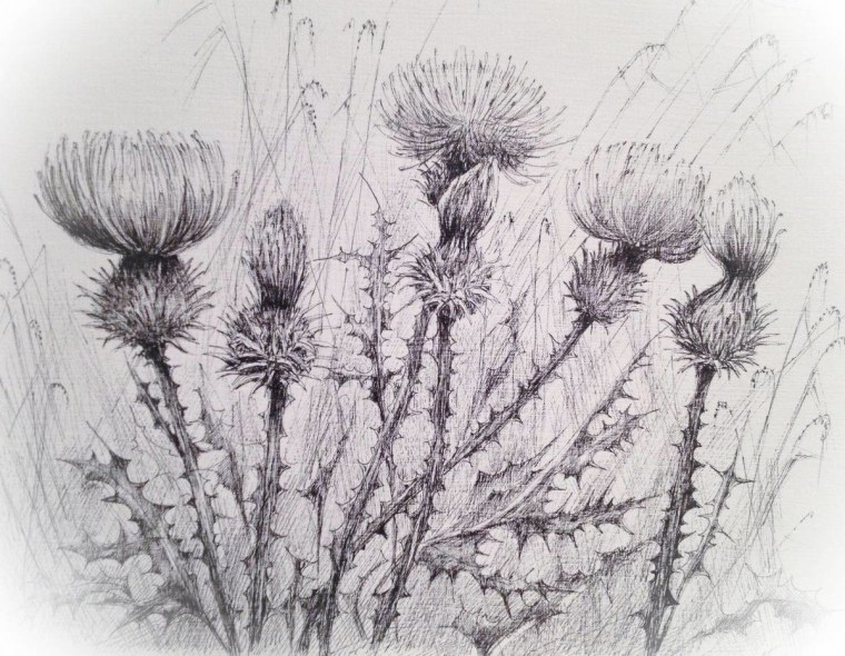 Расторопша , синеголовник в живописи