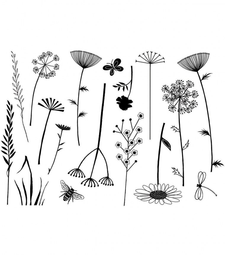 Графическое изображение растений