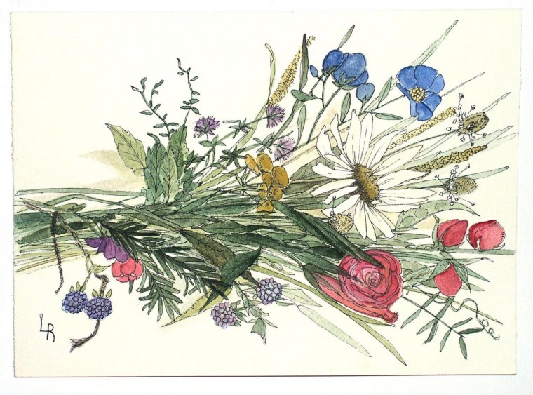 Полевые цветы акварель скетч