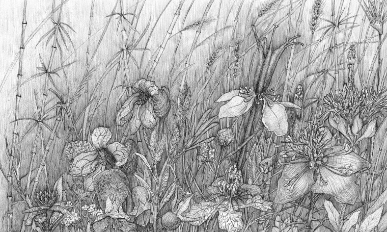 Монохромные цветы