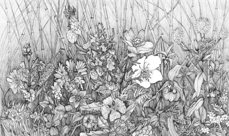 Графические иллюстрации