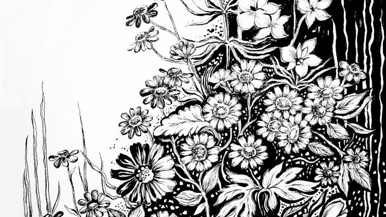 Графика цветы черно белые