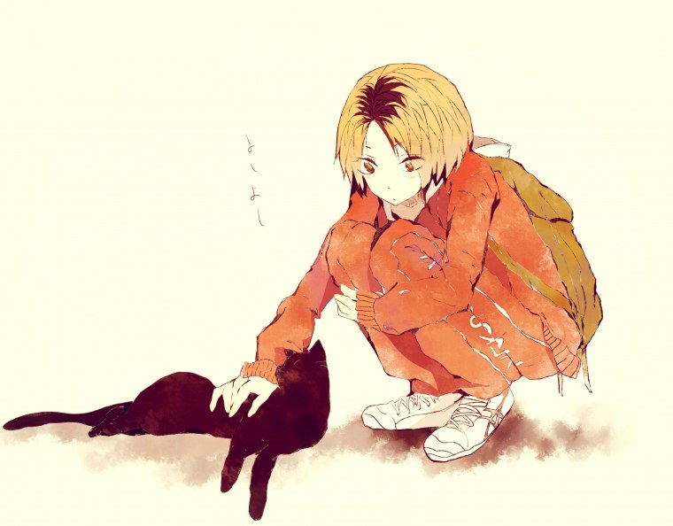 Кенма Козуме аниме