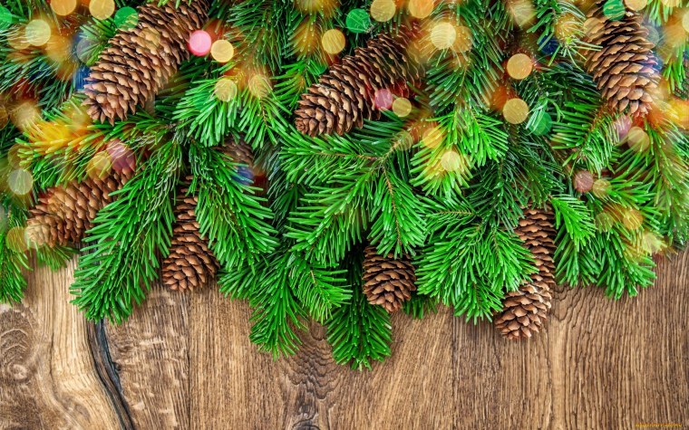 Хвойные ветки