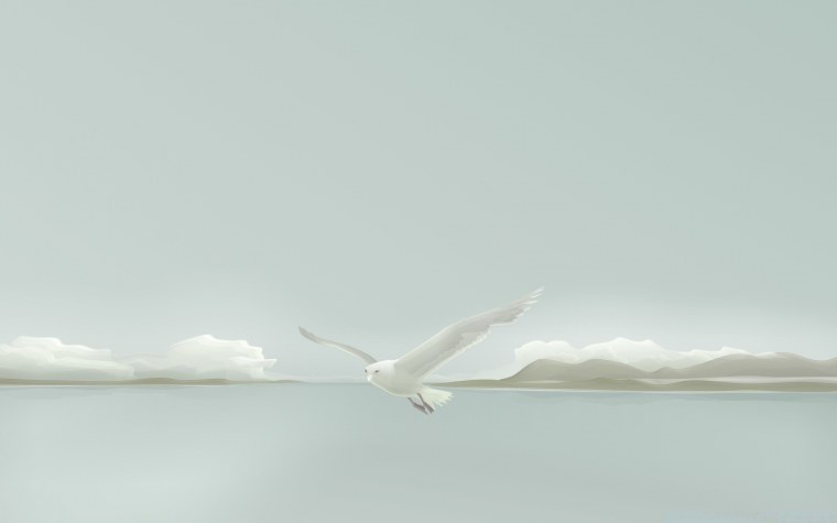 Минимализм Эстетика