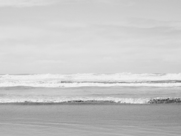 Белые цветы на черном