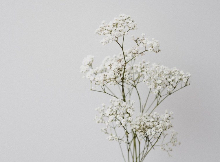 Белый цвет коллаж