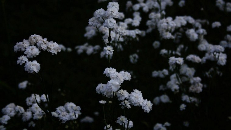 Абстракция Минимализм