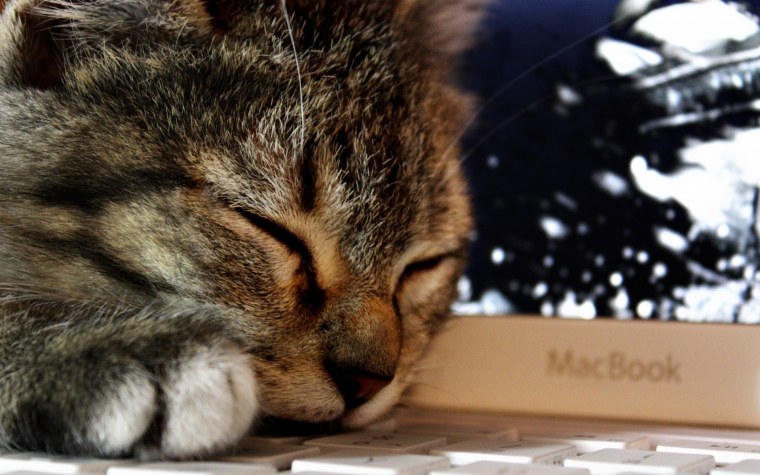 Заставки для ноутбука на рабочий стол