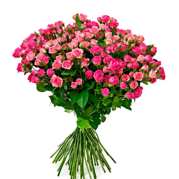 Роза кустовая Лавли Лидия