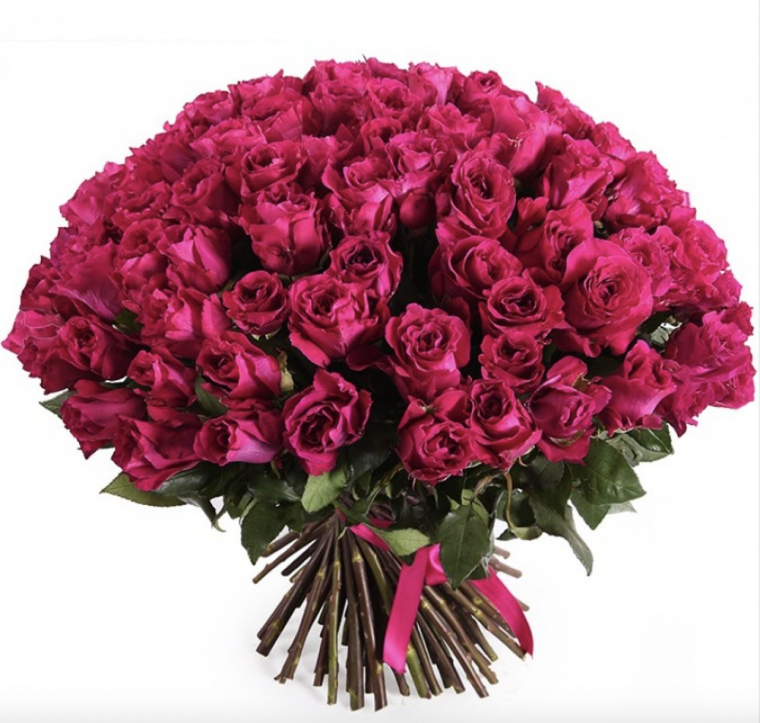 Хот эксплорер роза Эквадор