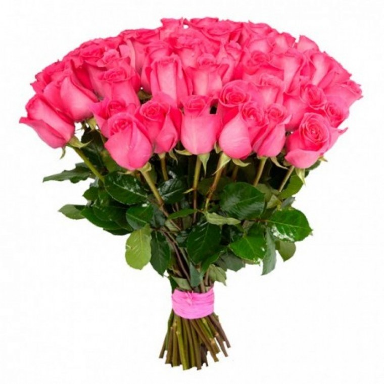 Роза Эквадор Пинк Флойд