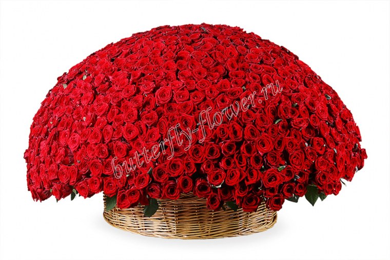 Букет роз 1001 роза