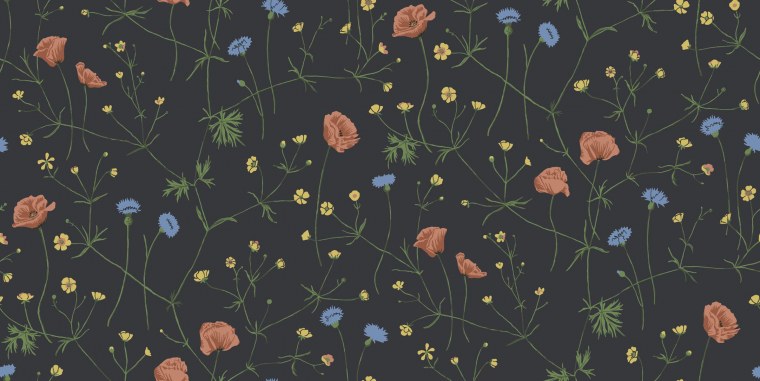 Разбитая роза