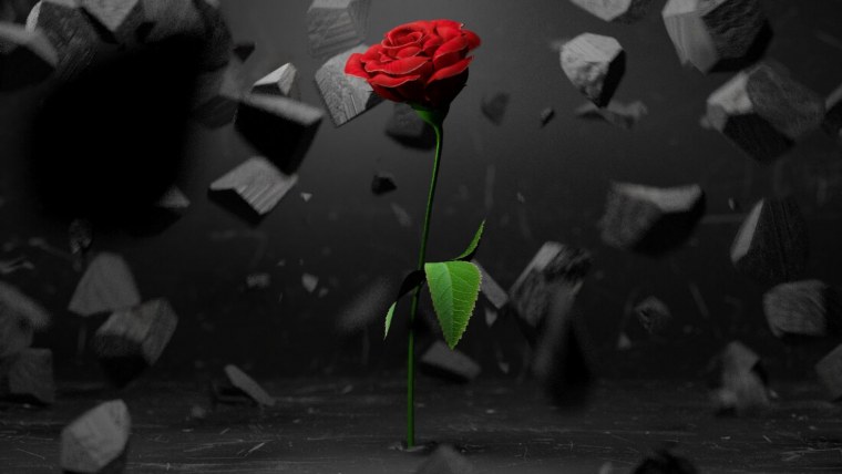 Подарочный сертификат на маникюр