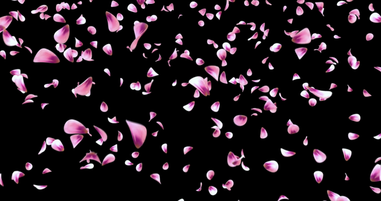 Падающие лепестки