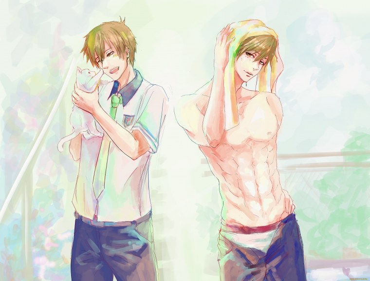 Аниме два парня идут