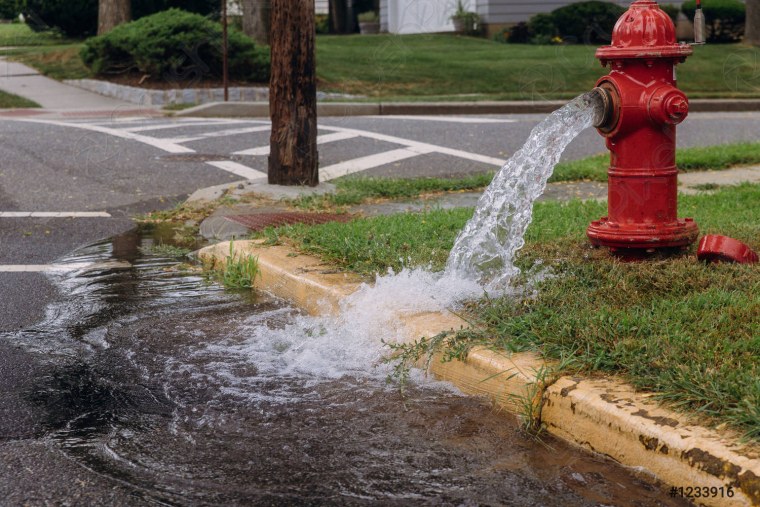 Fire Hoses and Fire Hydrants