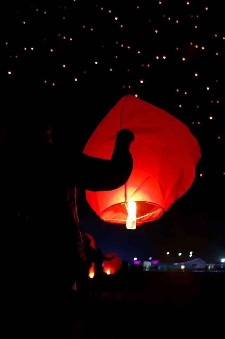 Китайские фонарики Феникса