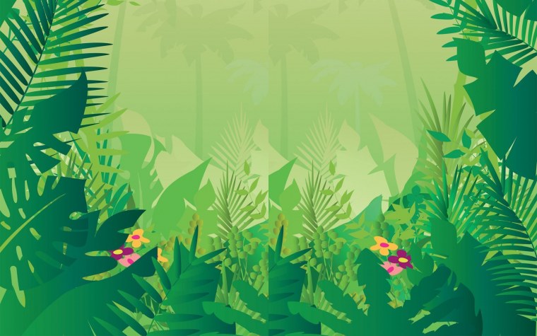 Пальмовые листья