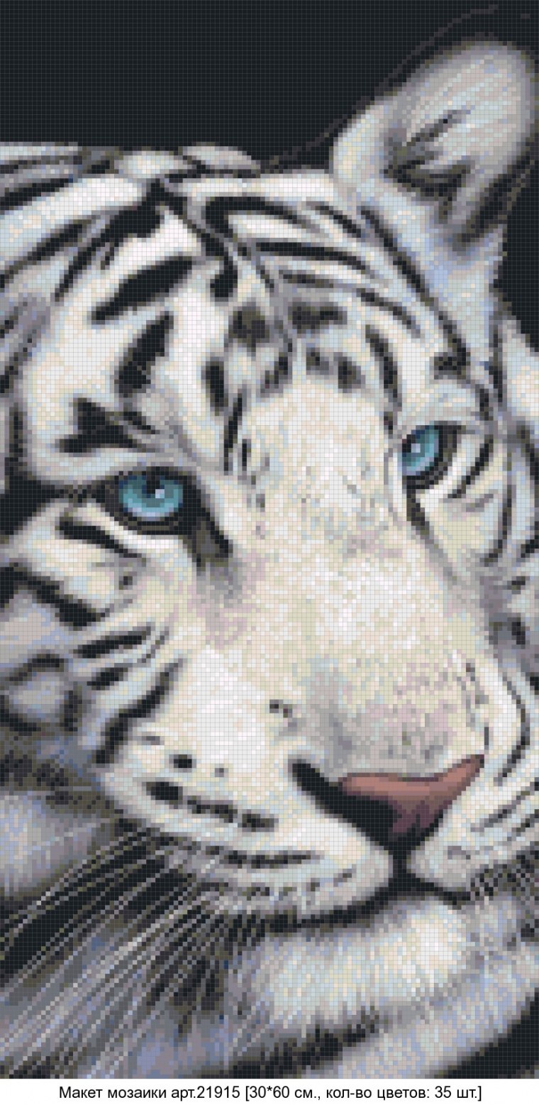 Тигр с голубыми глазами