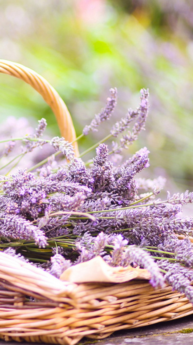 Лаванда букет