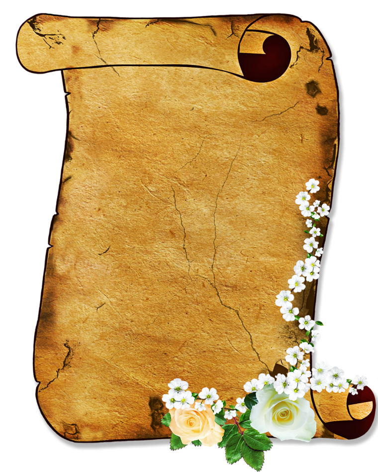 Красивый лист пергамента