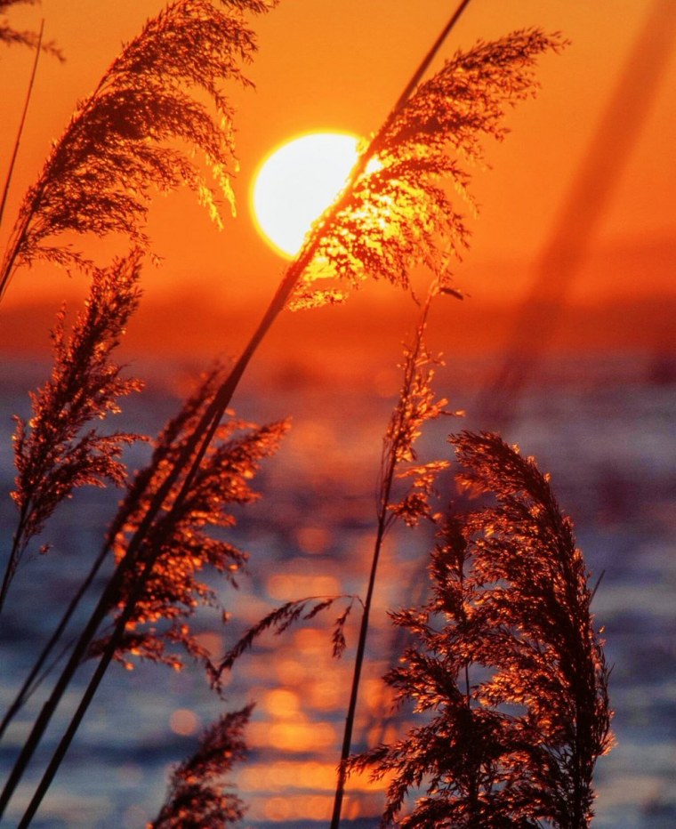 Пейзажи закаты и рассветы