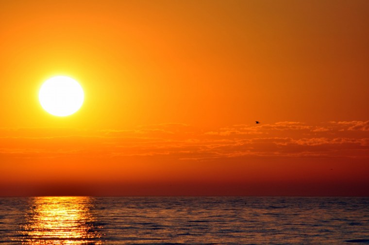 Солнце красота