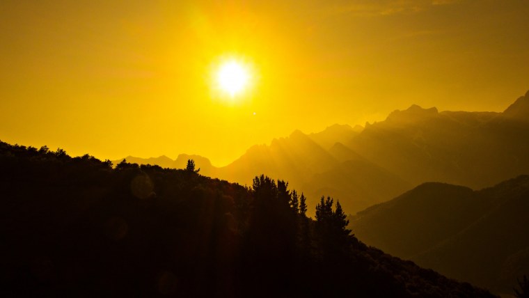 Трава на закате