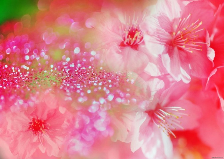 Красивый фон