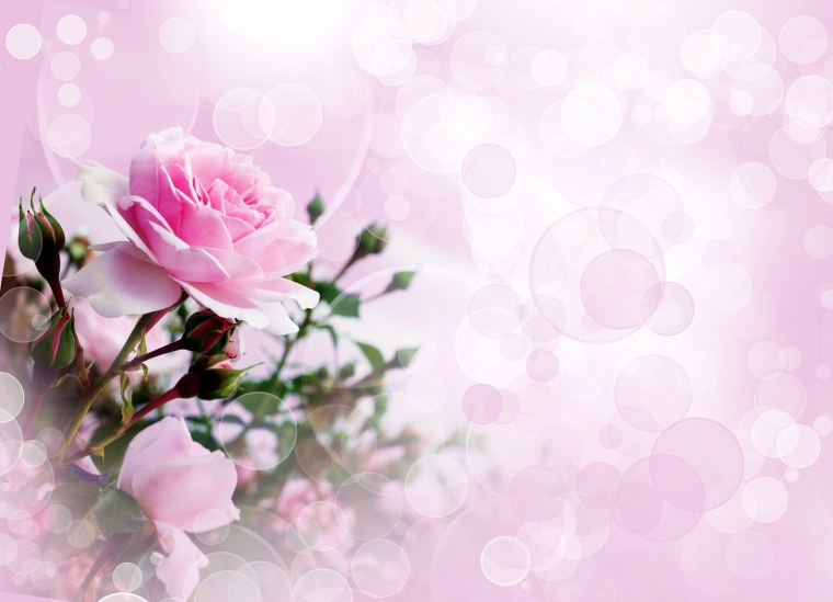 Красивый фон для открытки