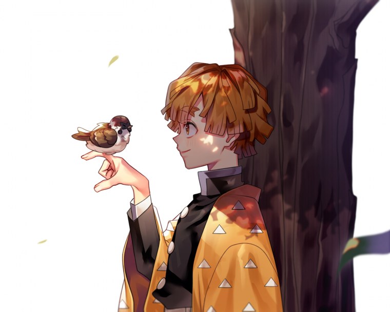 Зеницу Агацума и чунтаро