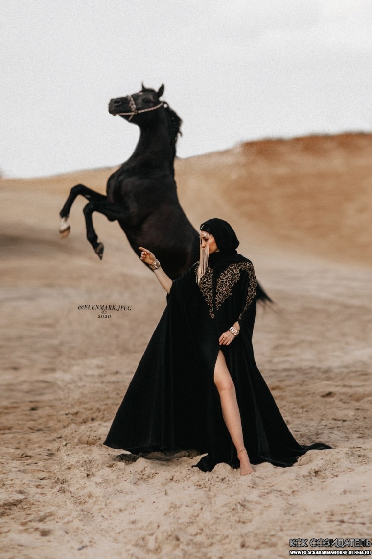 Арабские женщины на лошадях