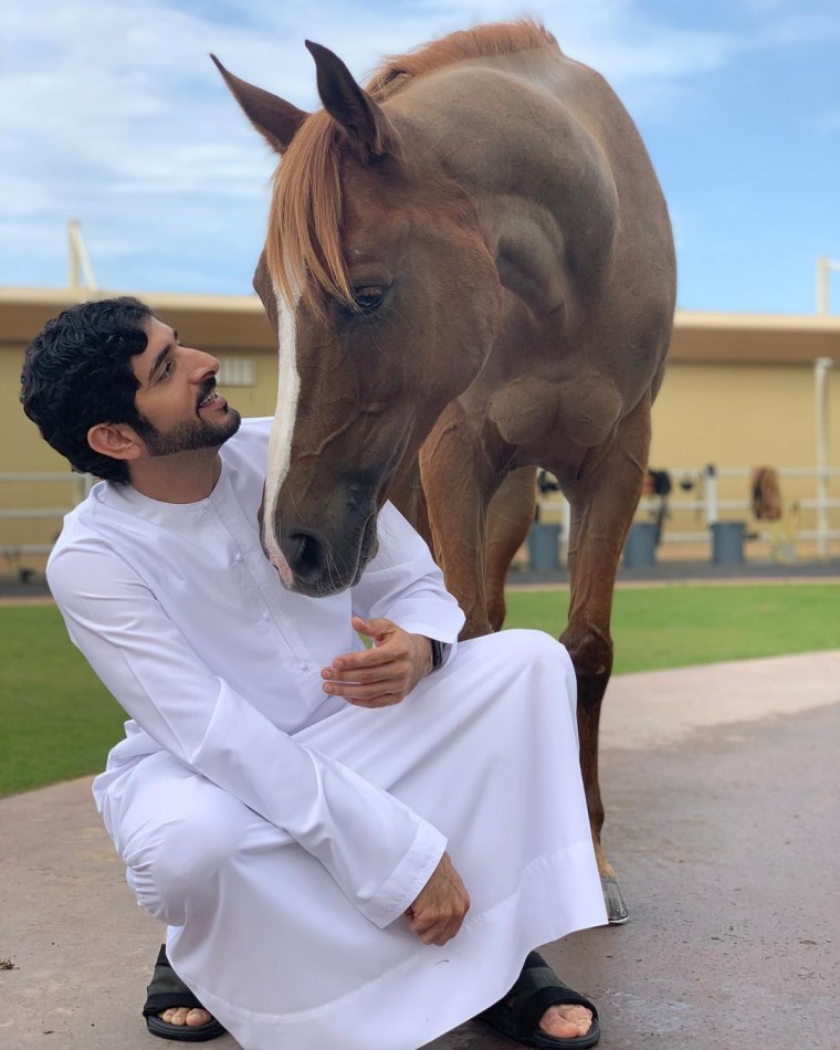 Девушка на лошади в пустыне