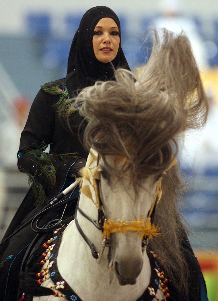 Арабская лошадь в пустыне